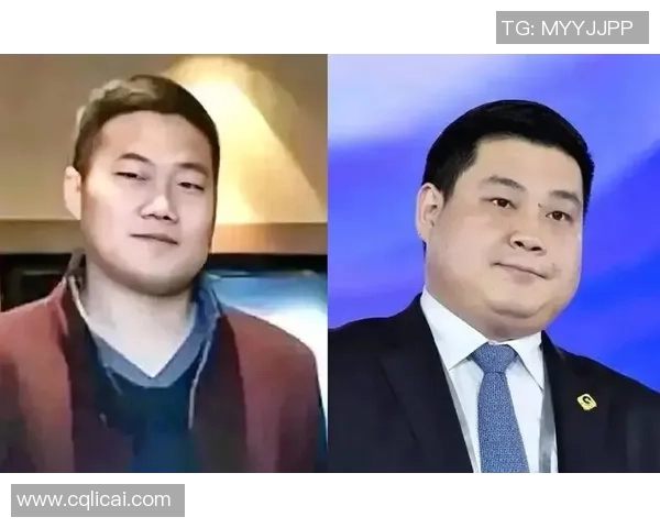 专访杨磊：探寻排球运动背后的成功秘诀与发展之路