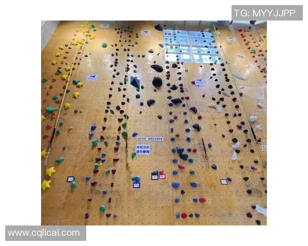 南京攀岩队近期状态全面对比分析及未来发展趋势探讨 南京攀岩队近期状态全面对比分析及未来发展趋势探讨