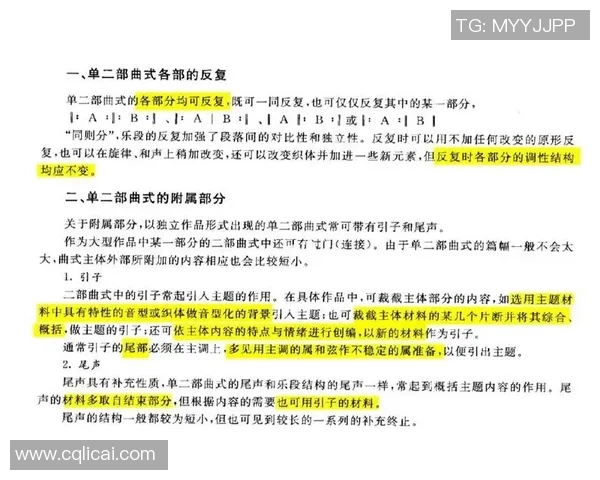 武汉足球队在全国锦标赛中的团队协作表现分析与点评