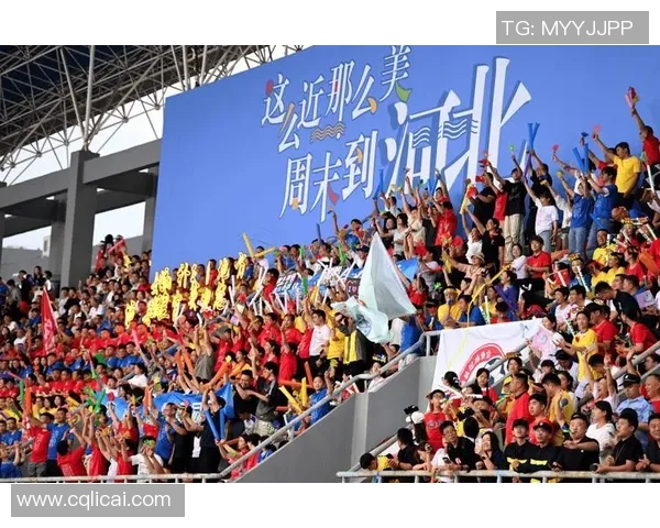 足球举办国的魅力与挑战探讨全球赛事对东道主的影响与发展机遇