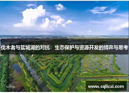 伐木者与盐城湖的对抗：生态保护与资源开发的博弈与思考